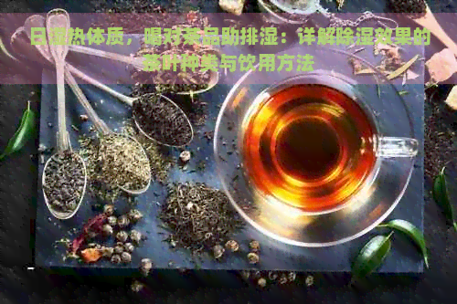 日湿热体质，喝对茶品助排湿：详解除湿效果的茶叶种类与饮用方法