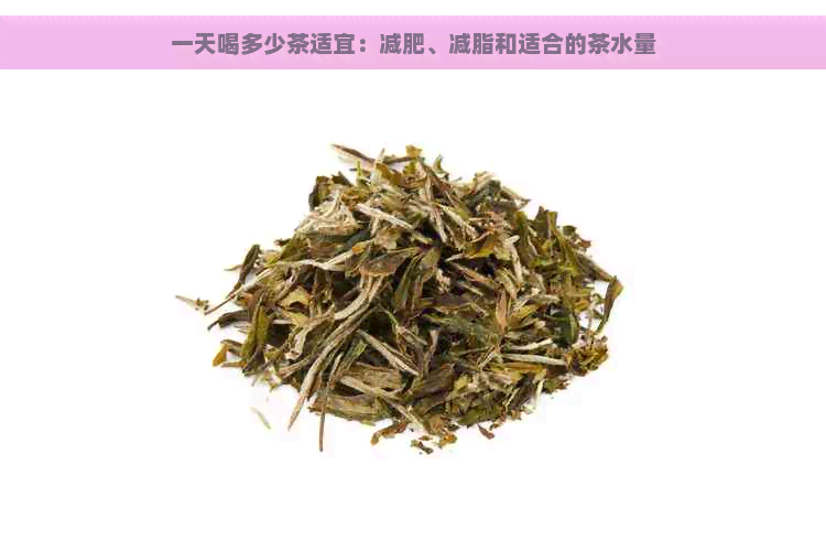 一天喝多少茶适宜：减肥、减脂和适合的茶水量