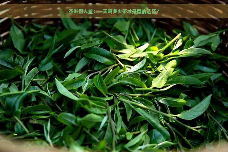 茶叶摄入量：一天喝多少茶才是健的选择？