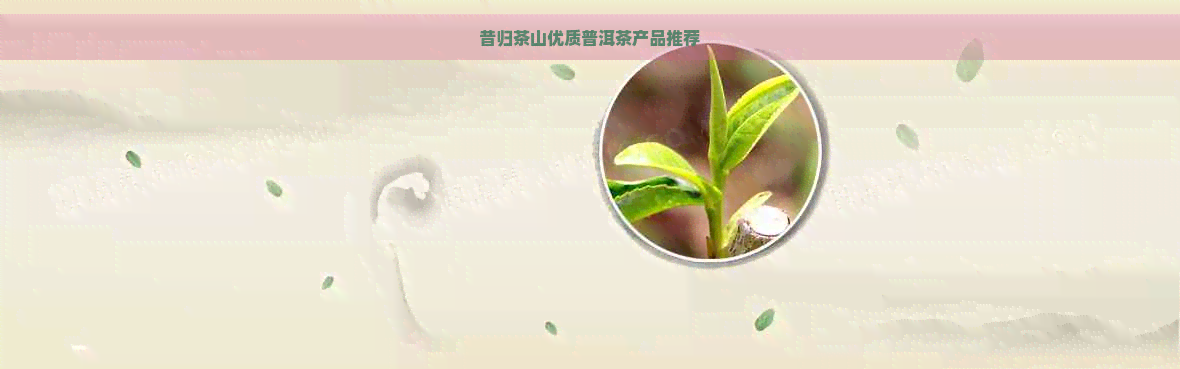 昔归茶山优质普洱茶产品推荐