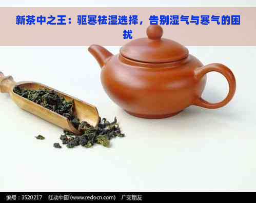 新茶中之王：驱寒祛湿选择，告别湿气与寒气的困扰