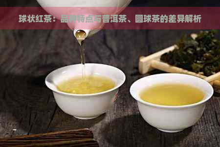 球状红茶：品种特点与普洱茶、圆球茶的差异解析