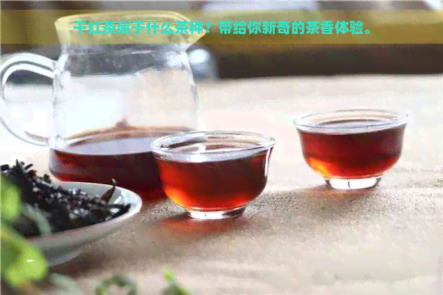 干红茶属于什么茶种？带给你新奇的茶香体验。