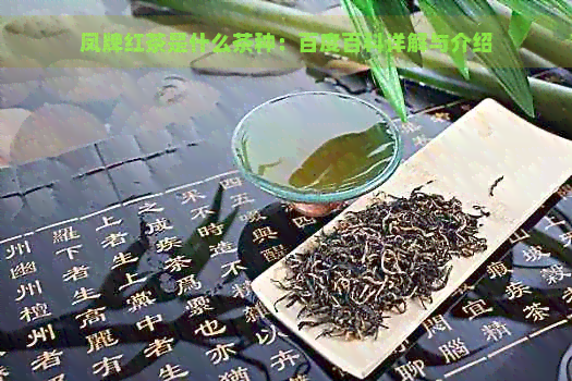 凤牌红茶是什么茶种：百度百科详解与介绍