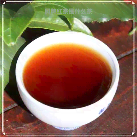 凤牌红茶是什么茶