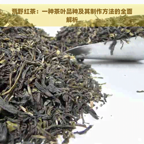 荒野红茶：一种茶叶品种及其制作方法的全面解析