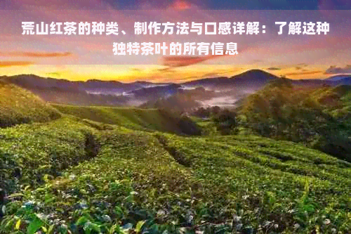 荒山红茶的种类、制作方法与口感详解：了解这种独特茶叶的所有信息