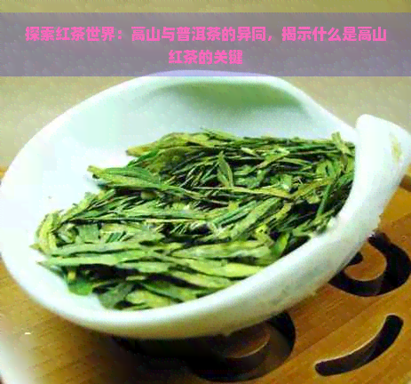 探索红茶世界：高山与普洱茶的异同，揭示什么是高山红茶的关键