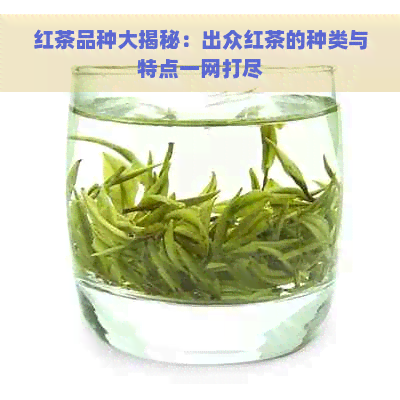 红茶品种大揭秘：出众红茶的种类与特点一网打尽