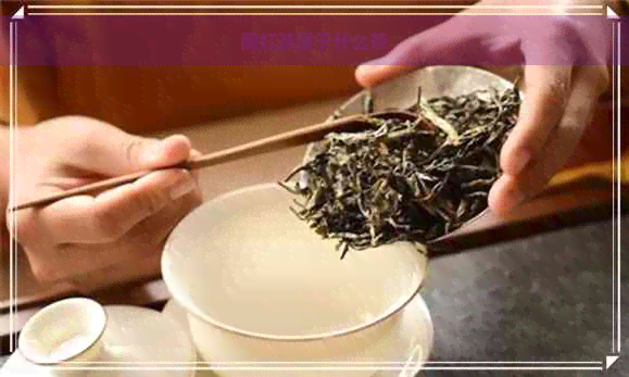 闽红茶属于什么茶