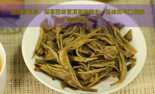 四级普洱茶，探索四级普洱茶的魅力：品味历与口感的完美结合