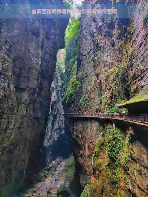 重庆至昆明快速列车时刻表与票价查询