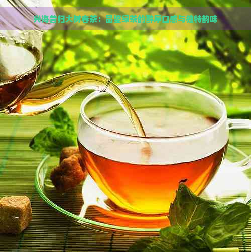 兴海昔归大树春茶：品鉴绿茶的醇厚口感与独特韵味