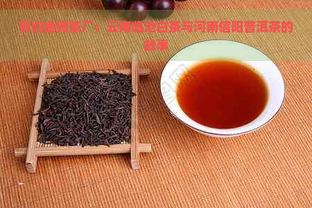 昔归金砖茶厂：云南临沧白茶与河南信阳普洱茶的故事