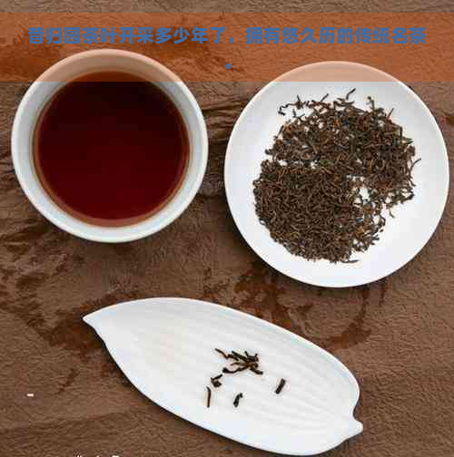 昔归园茶叶开采多少年了，拥有悠久历的传统名茶。