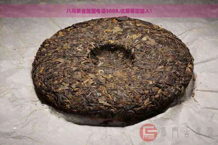 八马茶业加盟电话5008,优质等您加入！