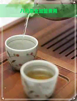 八马茶业加盟费用