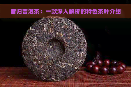 昔归普洱茶：一款深入解析的特色茶叶介绍