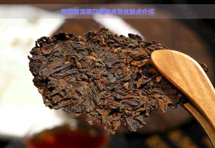 昔归普洱茶口感特点及优缺点介绍