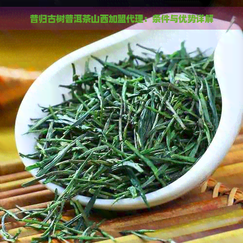 昔归古树普洱茶山西加盟代理：条件与优势详解