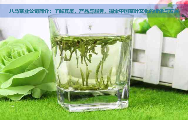 八马茶业公司简介：了解其历、产品与服务，探索中国茶叶文化的传承与发展