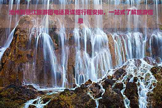沧州到丽江旅游团电话及详细行程安排，一站式了解旅游信息
