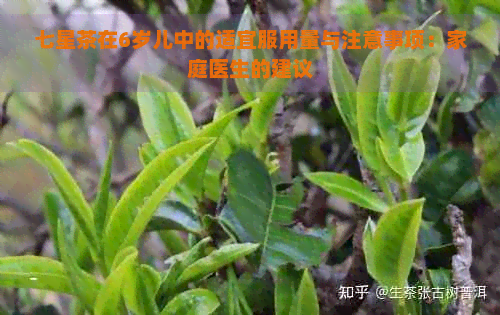 七星茶在6岁儿中的适宜服用量与注意事项：家庭医生的建议