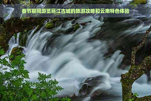 春节期间游览丽江古城的旅游攻略和云南特色体验