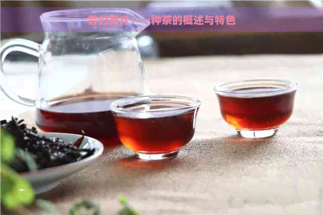 昔归简介：一种茶的概述与特色