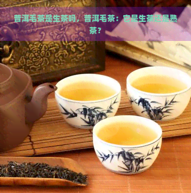 普洱毛茶是生茶吗，普洱毛茶：它是生茶还是熟茶？