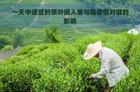 一天中适宜的茶叶摄入量与喝茶惯对健的影响
