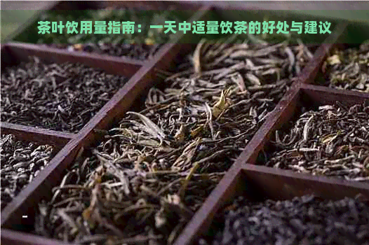 茶叶饮用量指南：一天中适量饮茶的好处与建议