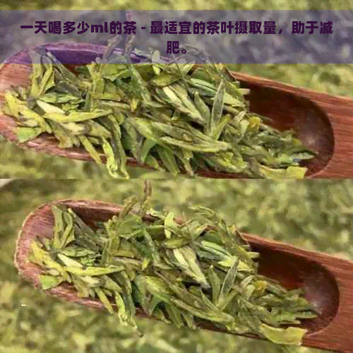 一天喝多少ml的茶 - 最适宜的茶叶摄取量，助于减肥。