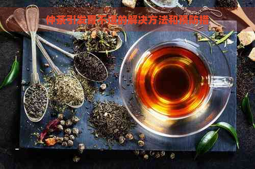 仲茶引发胃不适的解决方法和预防措