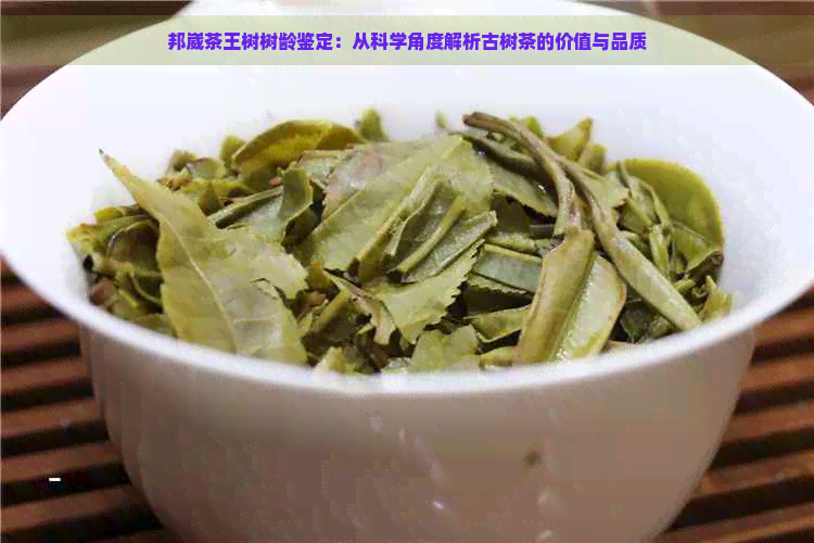 邦崴茶王树树龄鉴定：从科学角度解析古树茶的价值与品质