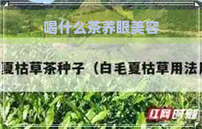 喝什么茶养眼美容