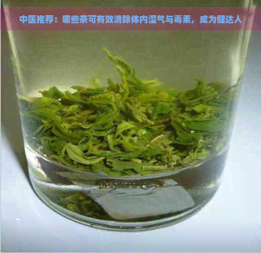 中医推荐：哪些茶可有效清除体内湿气与素，成为健达人