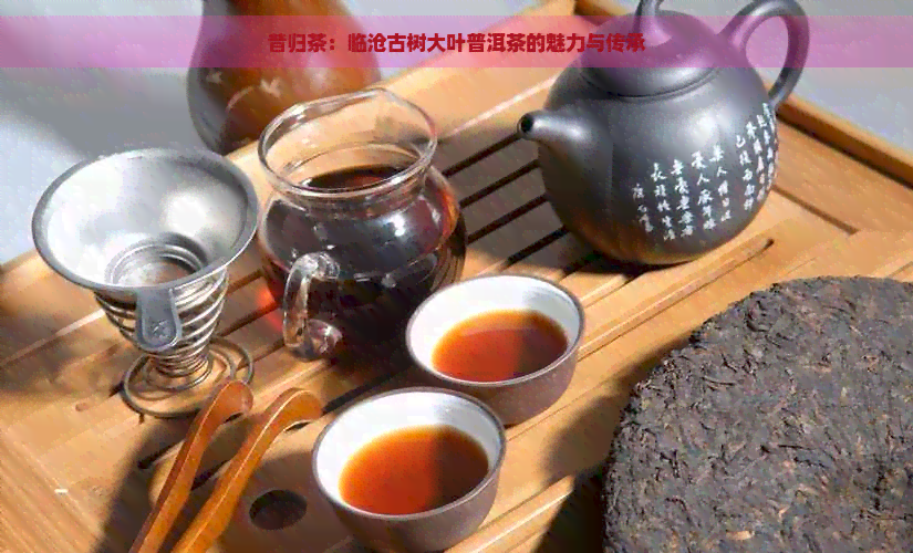 昔归茶：临沧古树大叶普洱茶的魅力与传承