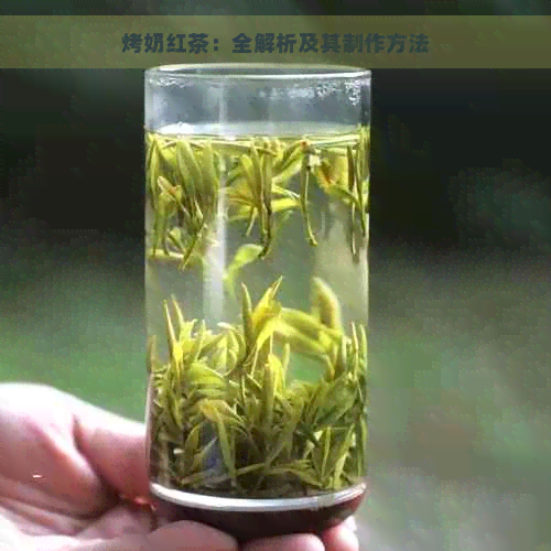 烤奶红茶：全解析及其制作方法