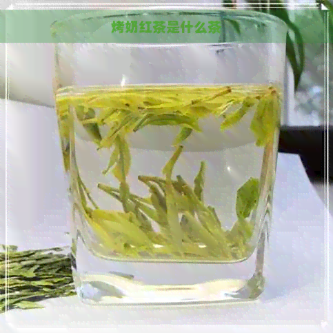 烤奶红茶是什么茶