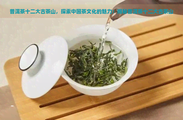 普洱茶十二大古茶山，探索中国茶文化的魅力：揭秘普洱茶十二大古茶山