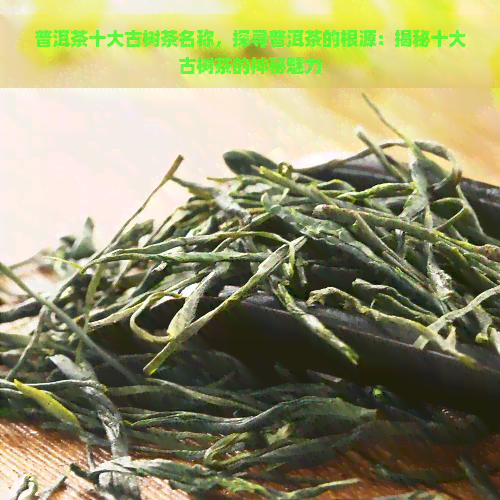 普洱茶十大古树茶名称，探寻普洱茶的根源：揭秘十大古树茶的神秘魅力