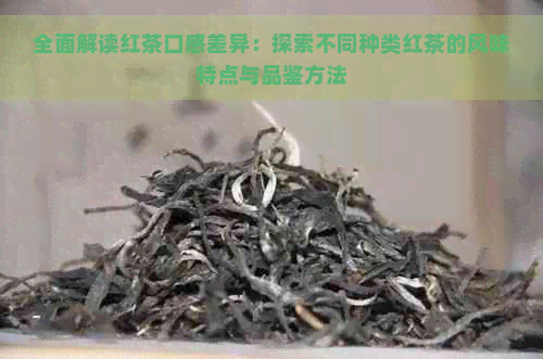 全面解读红茶口感差异：探索不同种类红茶的风味特点与品鉴方法