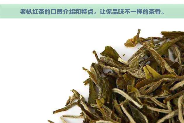 老枞红茶的口感介绍和特点，让你品味不一样的茶香。