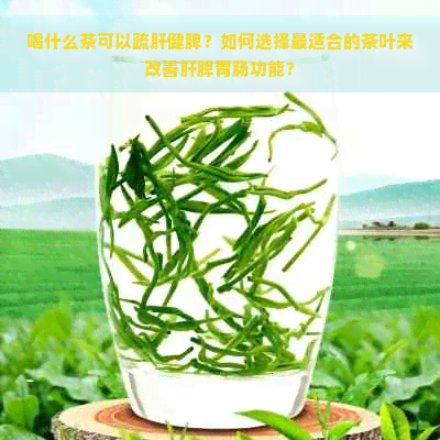 喝什么茶可以疏肝健脾？如何选择最适合的茶叶来改善肝脾胃肠功能？