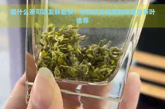 喝什么茶可以发胖最快：有效减肥和增加体重的茶叶推荐