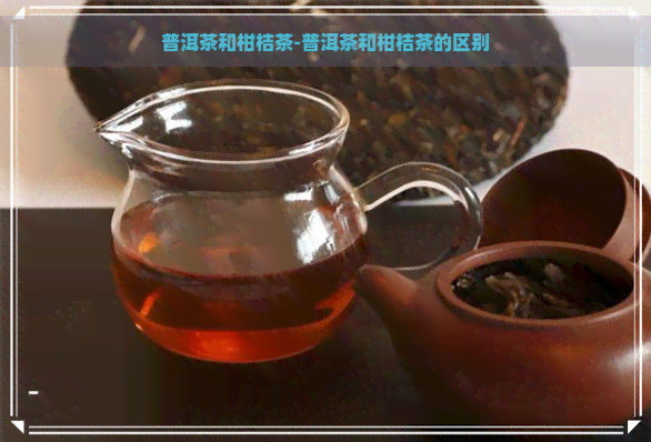 普洱茶和柑桔茶-普洱茶和柑桔茶的区别