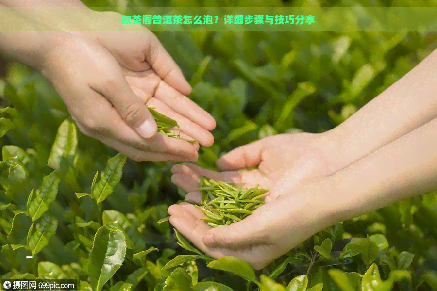 叙茶阁普洱茶怎么泡？详细步骤与技巧分享