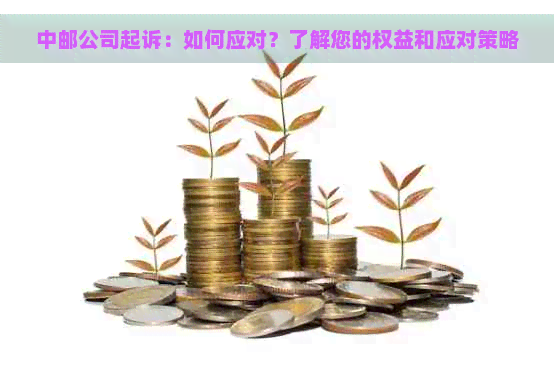 中邮公司起诉：如何应对？了解您的权益和应对策略