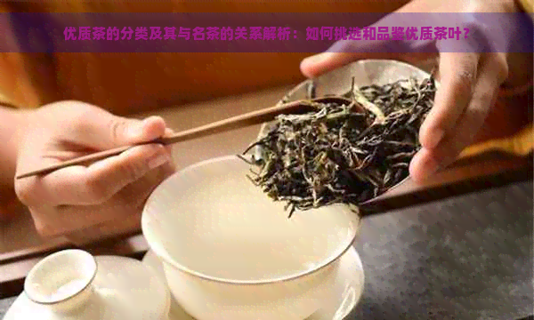 优质茶的分类及其与名茶的关系解析：如何挑选和品鉴优质茶叶？